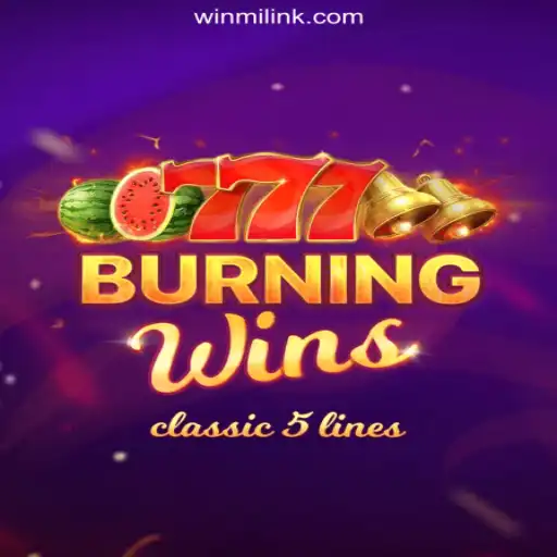 Exploring the Thrills of BurningWins on the WINMI.com Platform